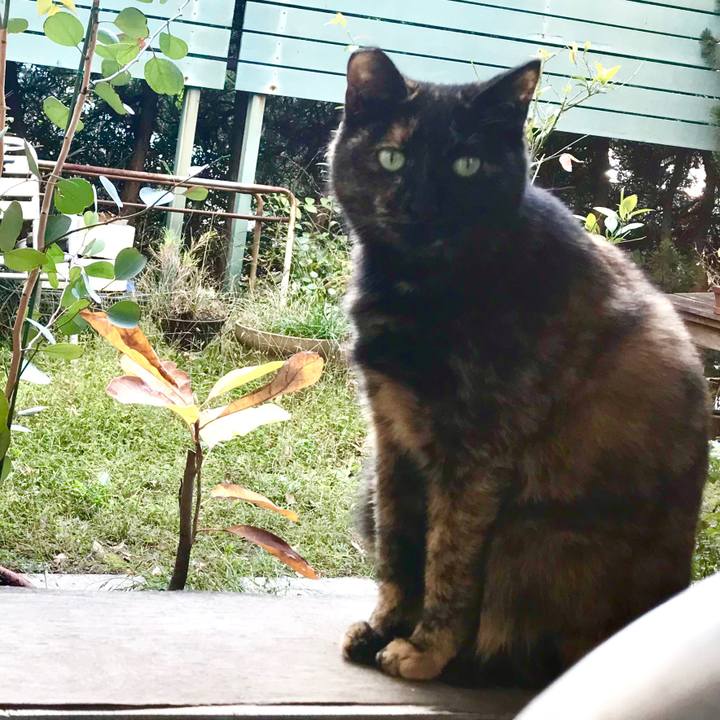 09ff4613 41ca 42d2 a6d2 5aabefd99682 1510644058629