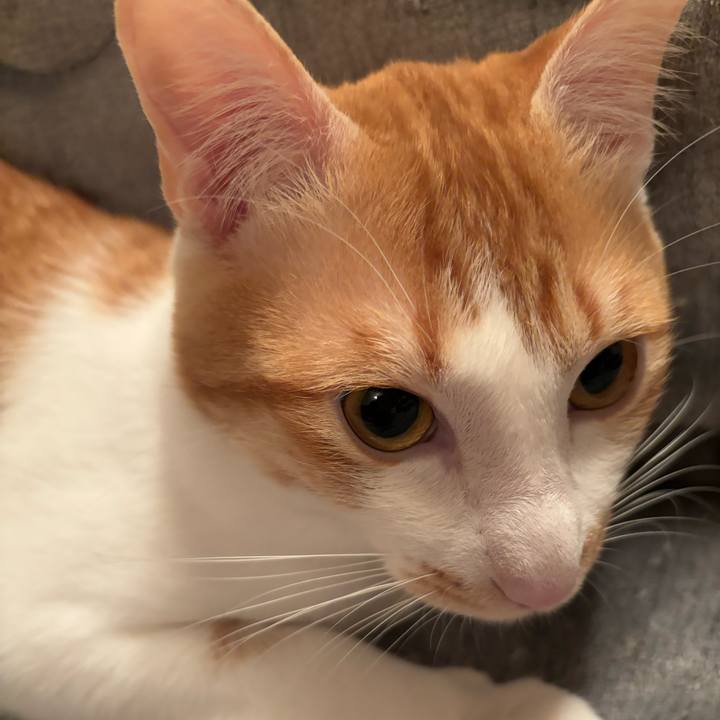 09ffe4e3 bbdb 4d8e 9f7b 4fab2ed4013b 1714219482081