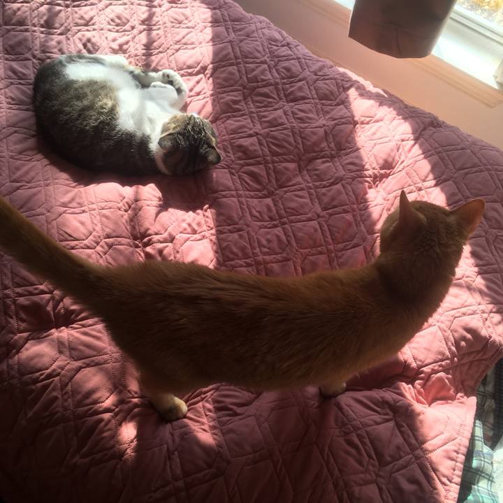 09ffff1c 3a74 471f a07d 98963a851836 1650836854791