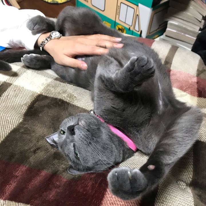 0a000b89 5d5a 446b 93b8 32b74612fc16 1555940840237