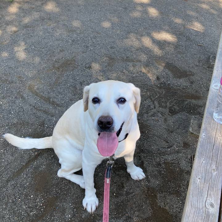 0a001b32 0c65 4aa7 a9e9 cdd3ac86259c 1750121387082