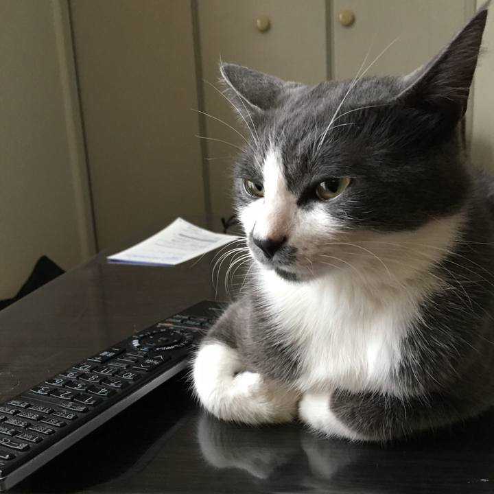 0a0047a8 f3ab 4930 ae13 691eafaba2c7 1519918697102