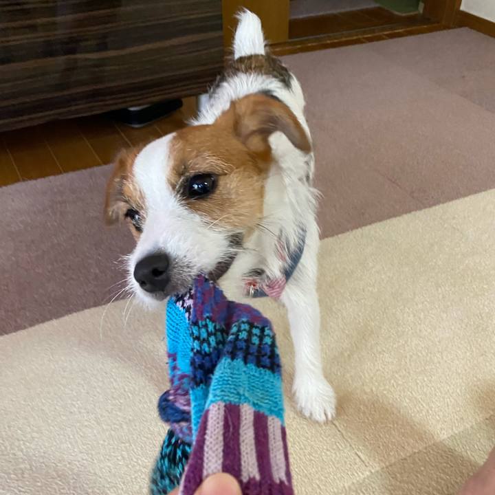 0a006a57 3b9f 48a6 95fa 59b371e82dab 1627082567928