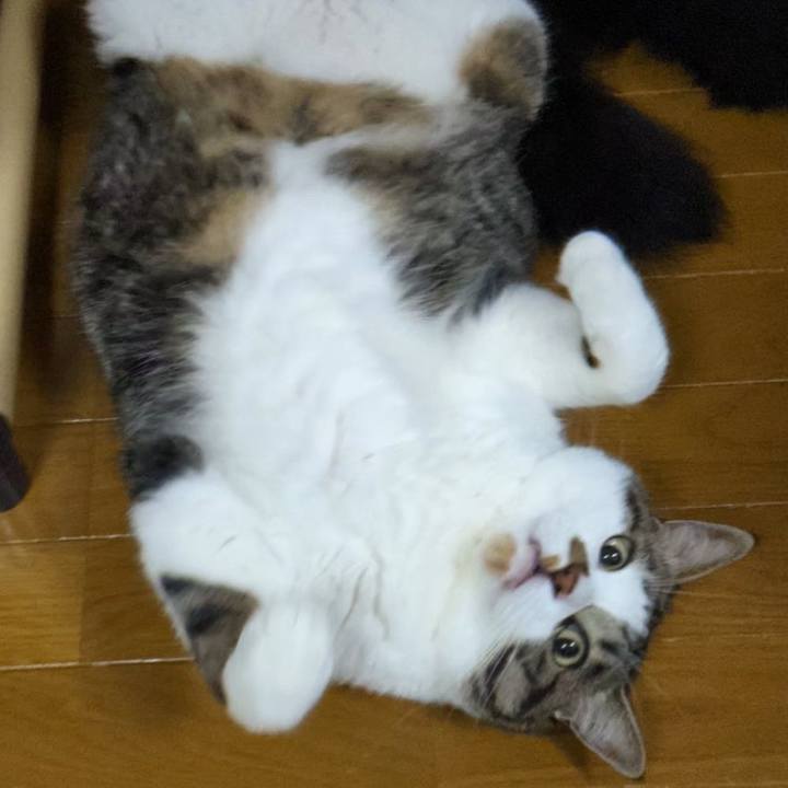 0a0090e3 ce26 4d5e be66 9d724e923fe0 1718924008702