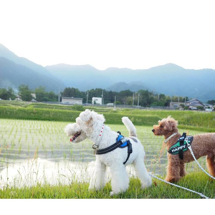 0a00be57 cc90 40e4 8a1d 3fea3e04c57f 1559826340817