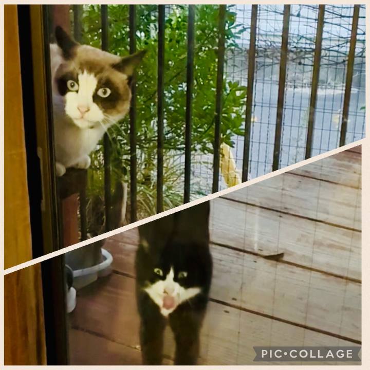 0a01375a cb81 4d43 a5be 276b932d17cc 1765881451356