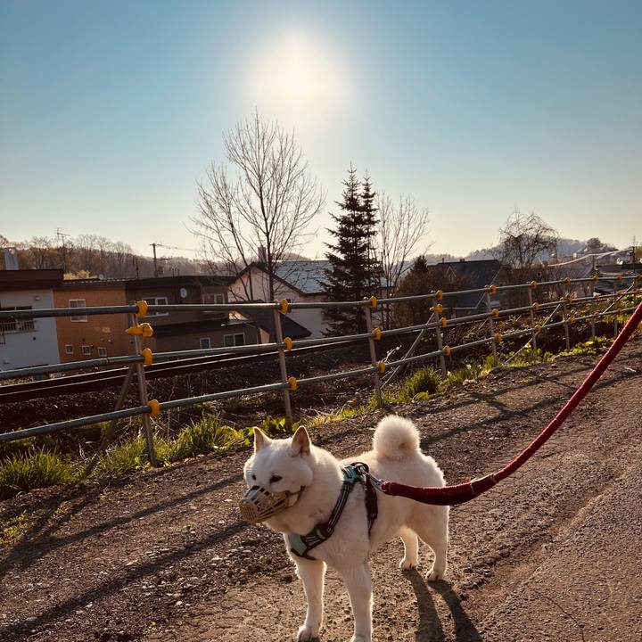 0a013840 0098 450f ac60 95942d545c34 1746652428067