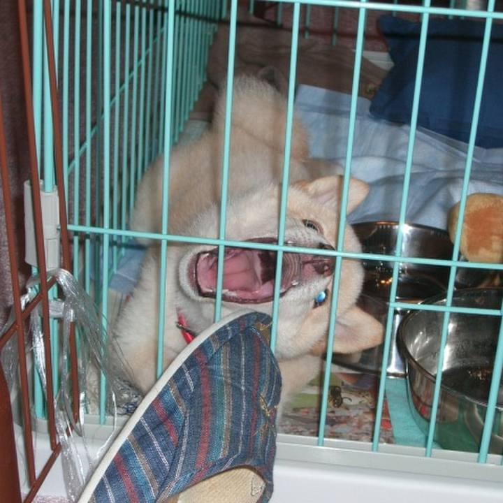 0a01512d a5d8 43fa 930d c8e9f8f69546 1639646624160