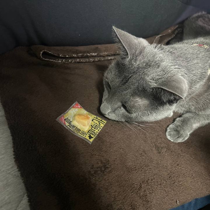 0a0156b6 c787 4af0 bc14 93c39ec556d9 1703157862739