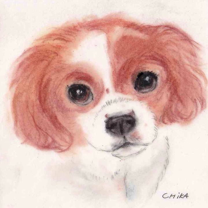 0a015cca 670c 4839 89b0 abdb794bb822 1637600735790