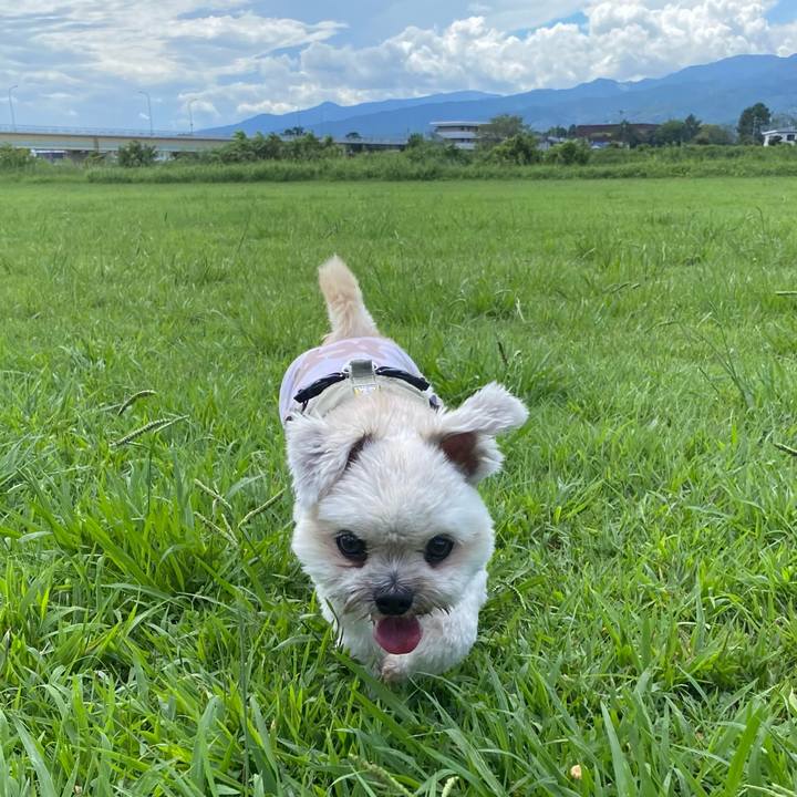 0a017380 88c9 40fa b6b3 0dfe04d637eb 1725442918313