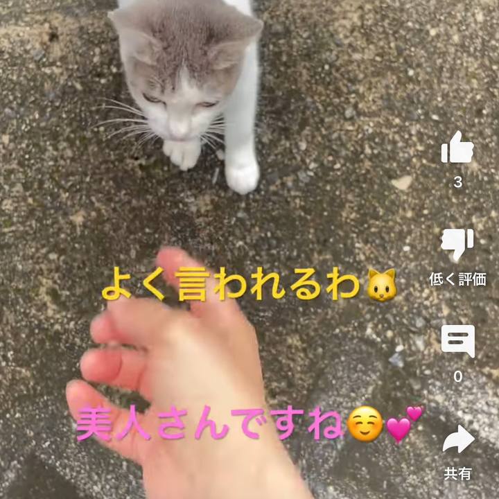 0a019648 e36b 4084 9ca4 03fb1cb88dbd 1686605617984