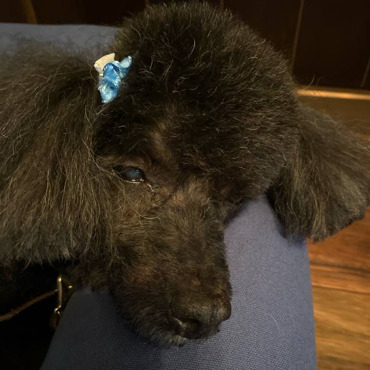 0a019bc9 fe88 4f2c 9c79 d026ac97adcc 1582611859054