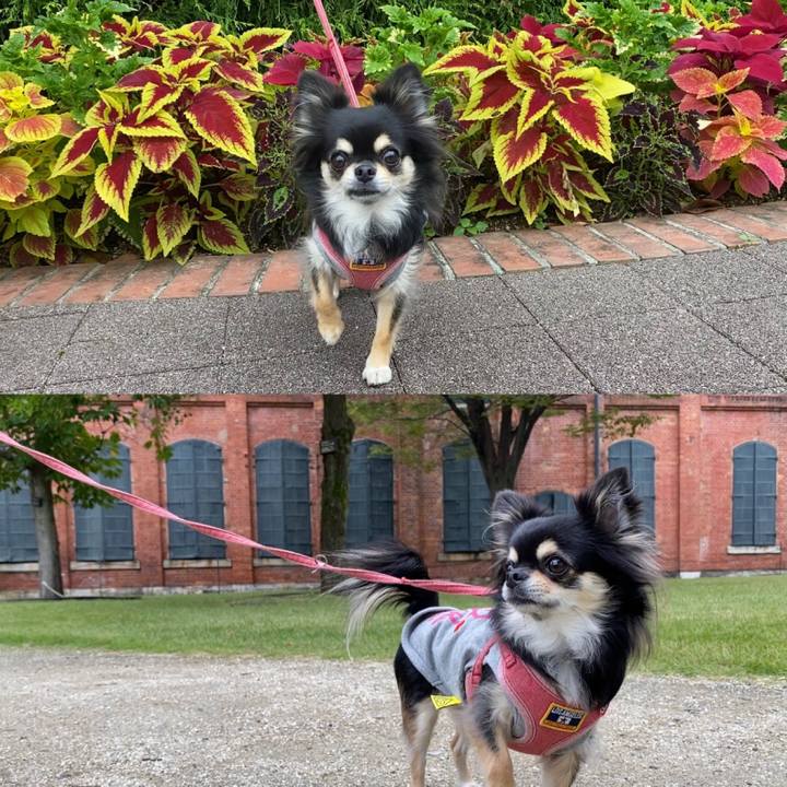 0a01d223 5e31 48d9 8995 dc5b5389fce7 1603006549866