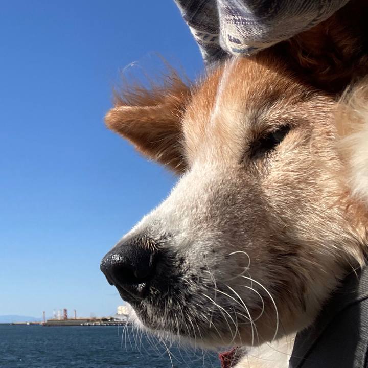 0a01f1c7 0161 4c40 ada7 5d7b21475860 1705910583915