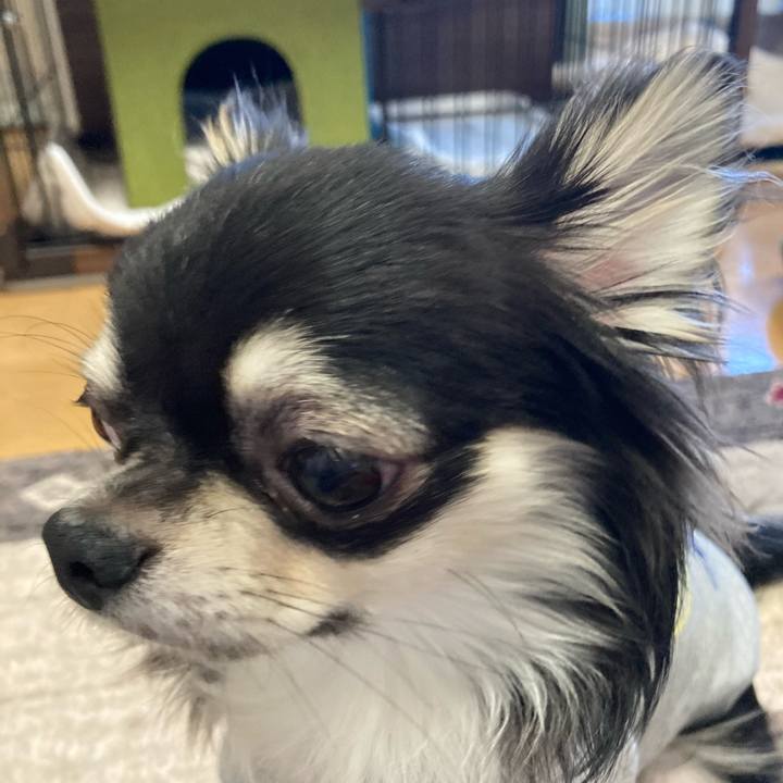 0a01f458 a973 4310 9878 df6dbf93fc6b 1606538026004