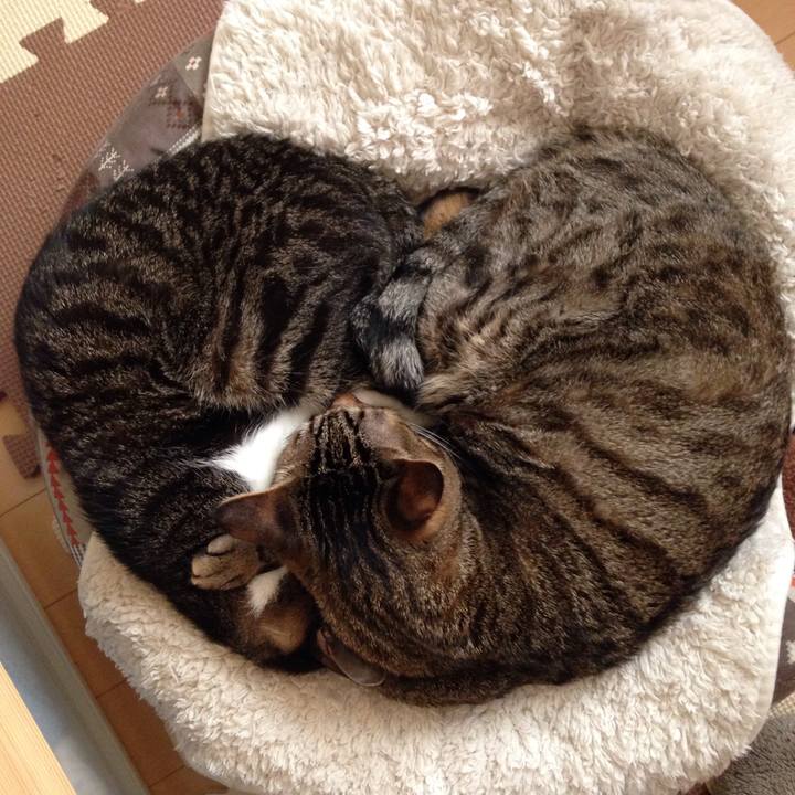 0a022b82 2dde 4dcd b35f 20fde1594812 1513132462793