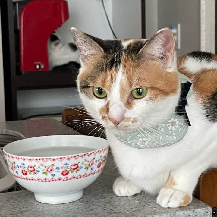 0a0238e8 2877 4722 9cc9 5fda15ab6935 1663890378712