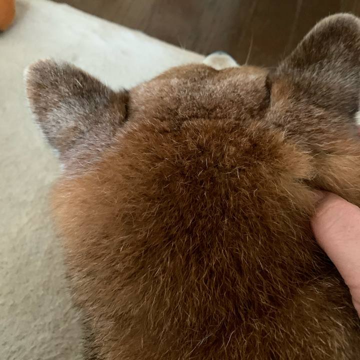 0a023e71 042c 4009 a10c 8955107d0f07 1577601317932