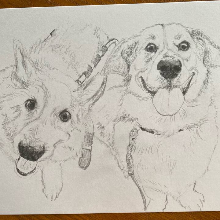 0a02a038 ed06 469d 9581 36b148c62825 1645684343438