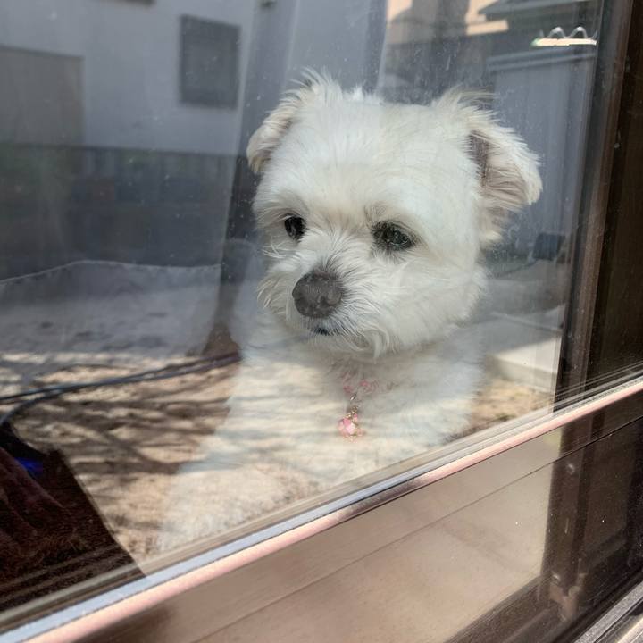 0a02ccda 8991 4523 9b13 e621a56b64fb 1616131851412