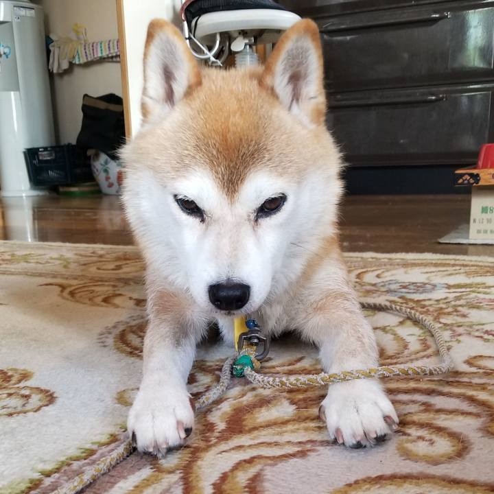 0a02ce3d 7223 4215 bf0f 7e19513010ea 1563345931384