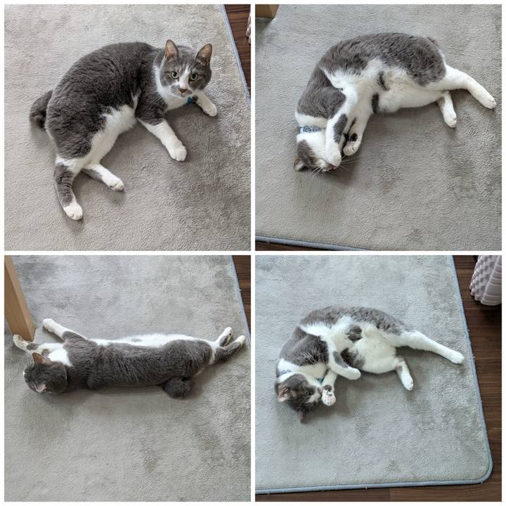 0a02d5b3 7432 479d a86c 0a8c1dfe44d7 1745635125926