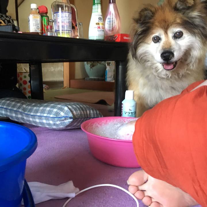 0a02dfd0 6dc2 4d0e a44f a94ae233fa9a 1556937884643