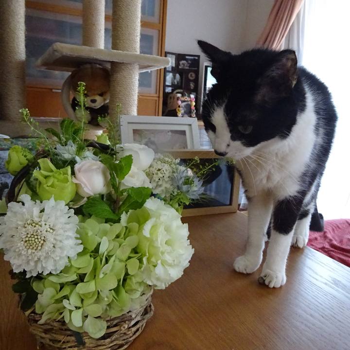 0a02e30e 2a30 40c2 a148 e64ef0edfb9c 1541749067044