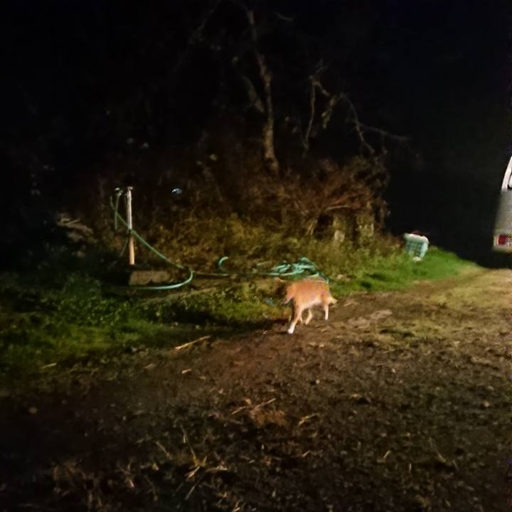 0a031f04 58ab 44f7 a892 402c0585827d 1604658234055