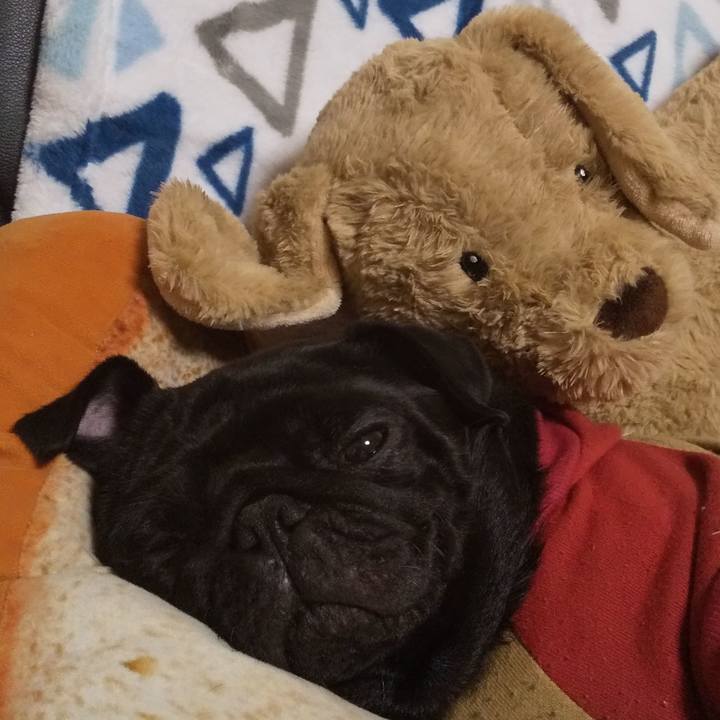 0a033534 6384 4372 ac49 7bb86a031953 1576681584988