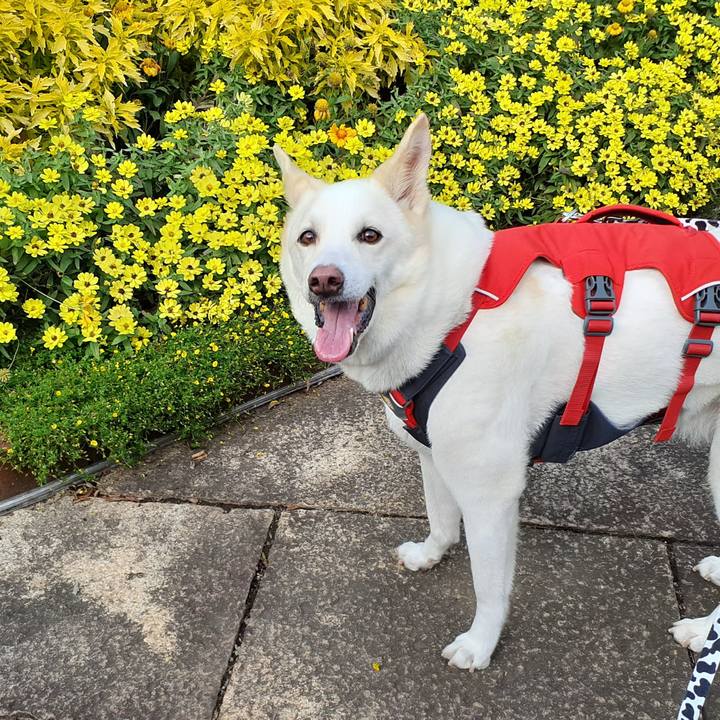 0a034696 4edc 4416 8385 bf77ebc07532 1762144880741