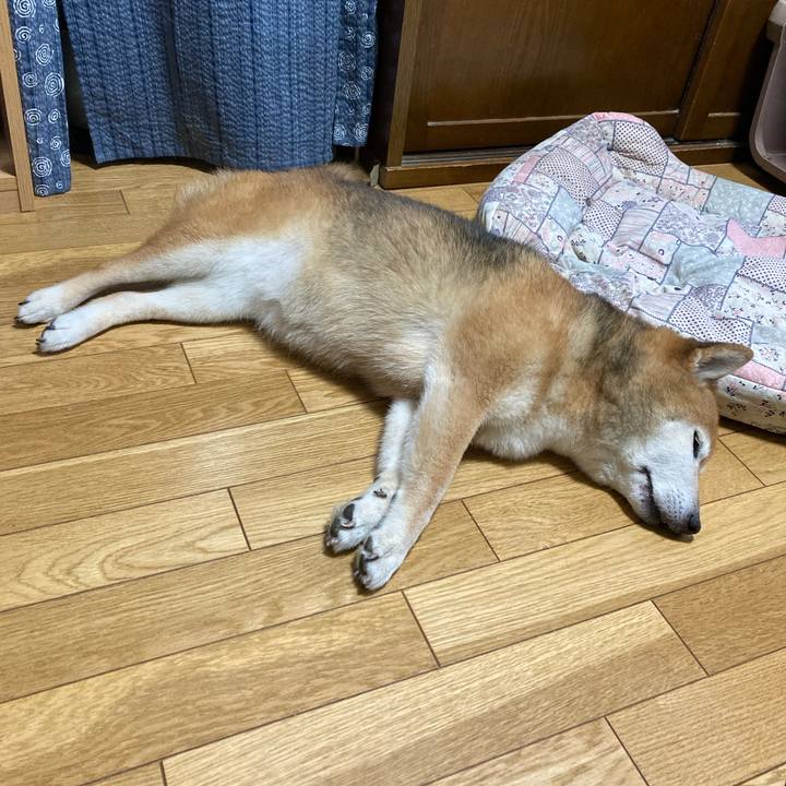 0a034ee9 4858 4e9a b3b9 499635288ca3 1720052005221