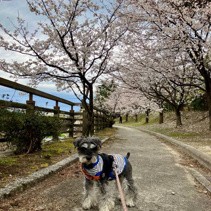 0a036a51 82b9 43e9 868e ef0059db0d04 1744122430687