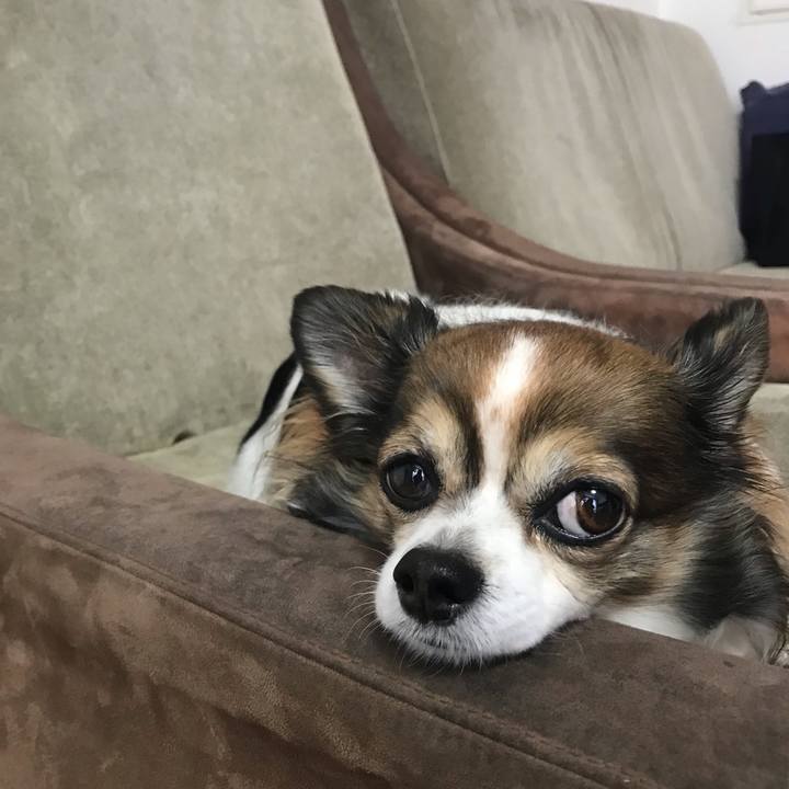 0a03943a 593a 4923 9db9 e32397fc85f1 1648435920756