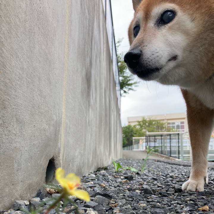 0a03a451 f7b9 46c9 8457 bed84b923b15 1695260253135