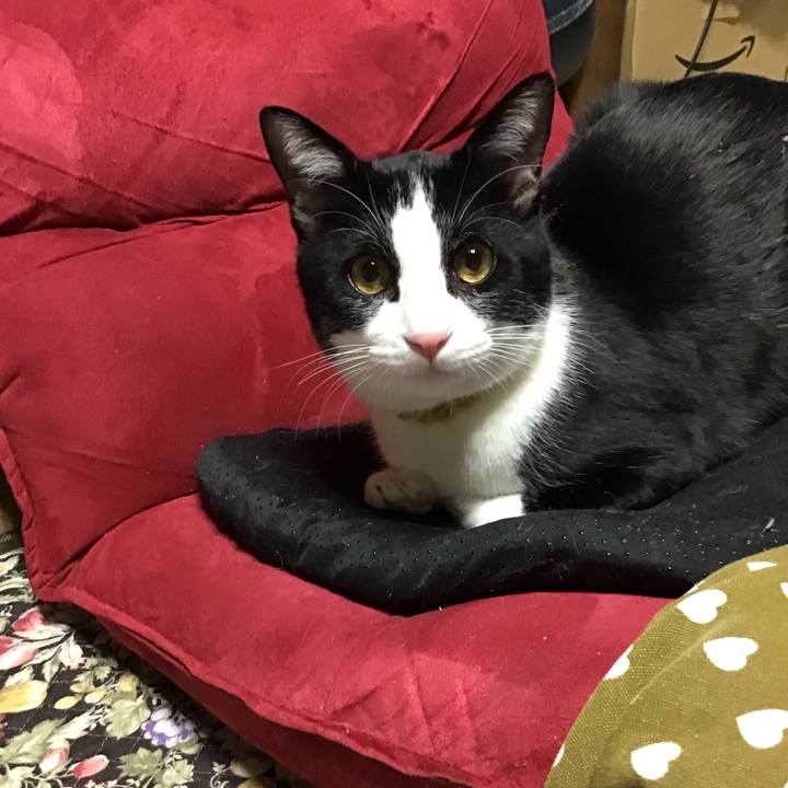 0a03b2d4 05d9 4e08 ad46 0c5d3e946908 1648024936406