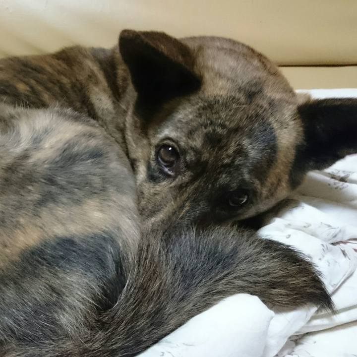 0a03c6c1 867c 437d a196 80aae4afb40c 1511780946336