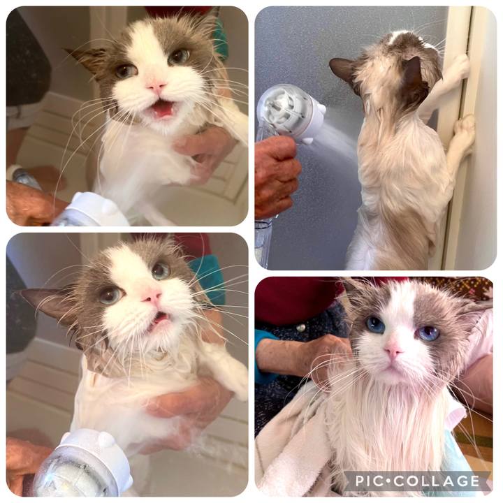 0a03dc5f db55 4a18 86f0 4acd4a6da829 1677476960542