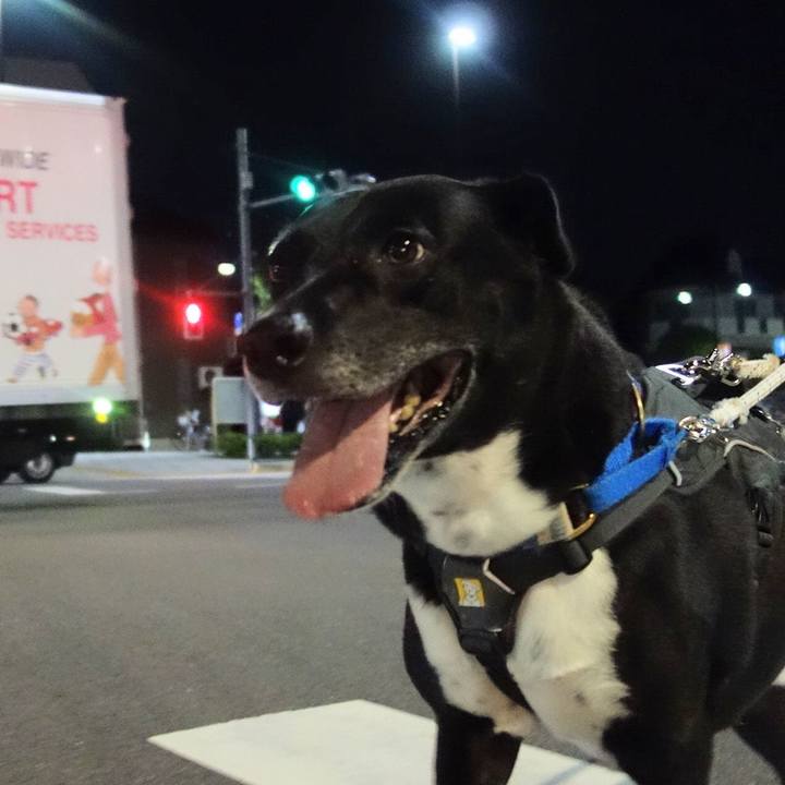 0a03ff1b 311e 4f7b bbf5 a0b28bb7ccfe 1664534703459