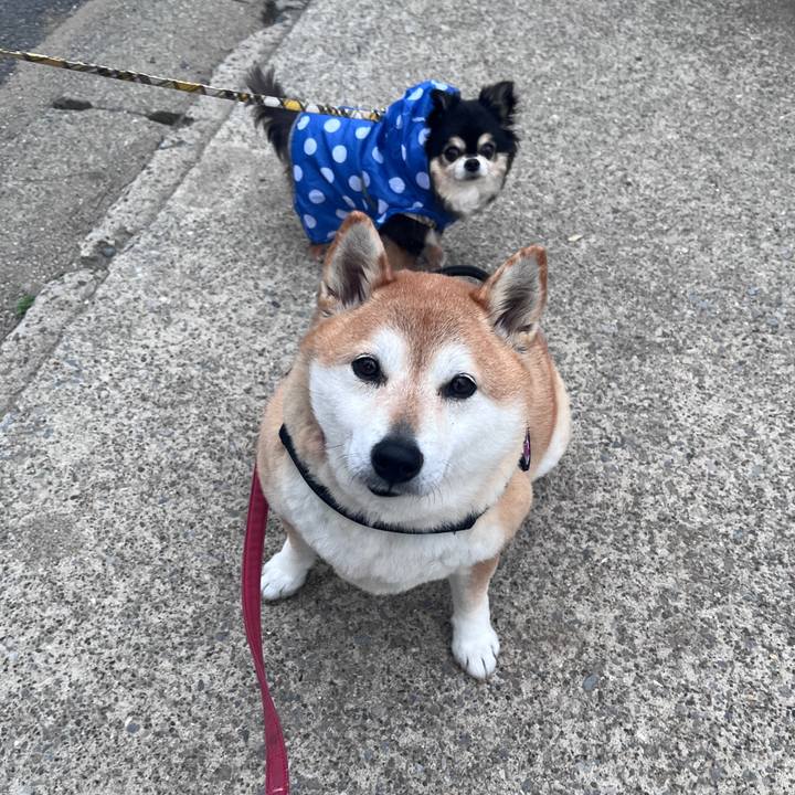 0a04b16e d9a6 4dd6 80a7 42f766984763 1711618082453