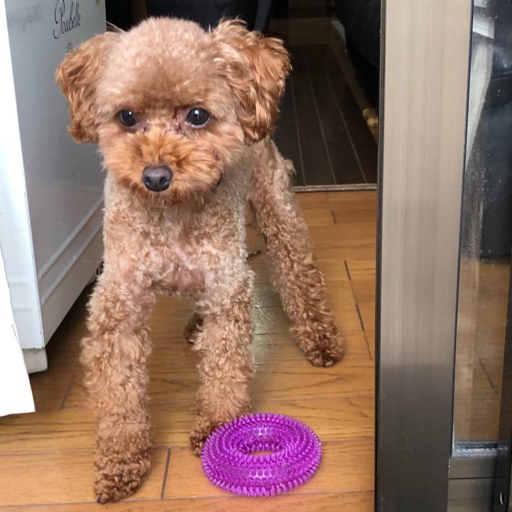 0a04bd72 5148 4693 96a3 dec91266a6c9 1543875314764