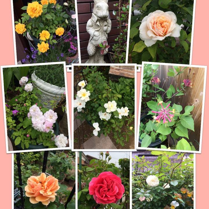 0a04c4b9 f54e 42ca a95b 7c6881faf23d 1525319257211