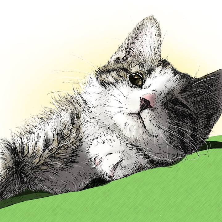 0a04e99f fc01 48d4 9721 87e00b4397dd 1595773291511