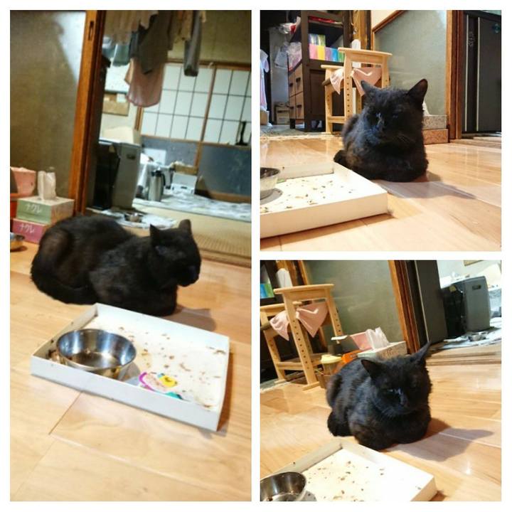 0a04facc bf6d 44d9 b5f5 c3f3d82aab4b 1623498442141