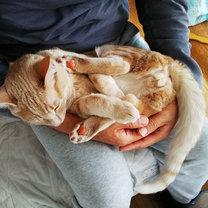 0a055596 f712 4bfe 9ab5 64dc351b89b7 1551586677952