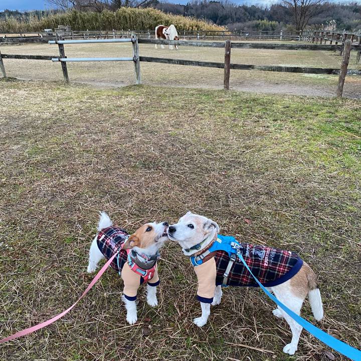 0a055c13 8b33 46d3 b20f 027000f82cc8 1704061161939