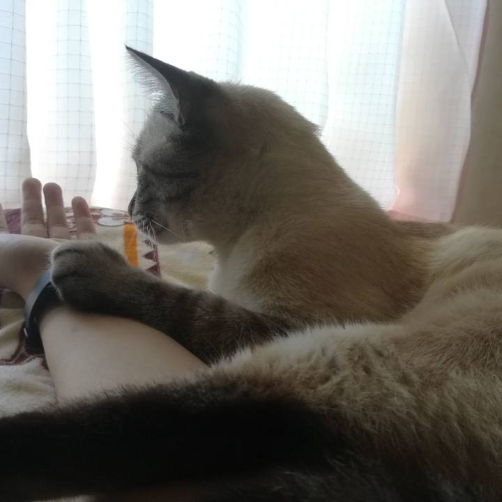 0a05885c 50eb 40c2 836b a0acca2a2cf7 1535846721952