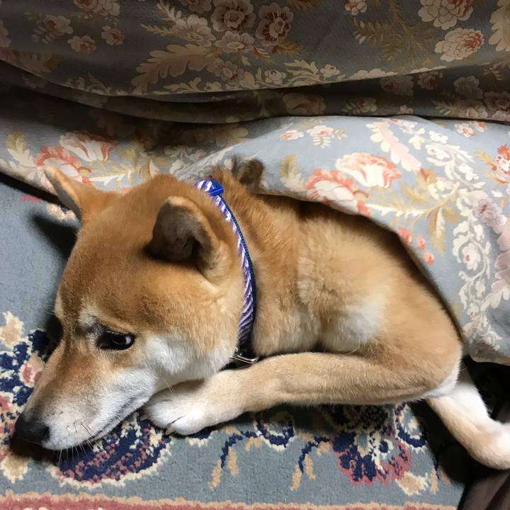 0a05931b d428 4a0a 8566 8315d44df1e8 1582457544284