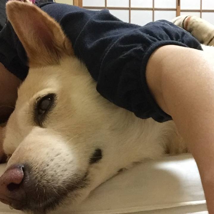 0a059394 9298 4149 af3c b5d3a19420d2 1523406993353